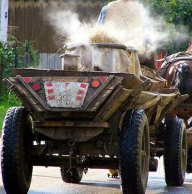 Un constănţean a murit după ce a căzut din căruţă
